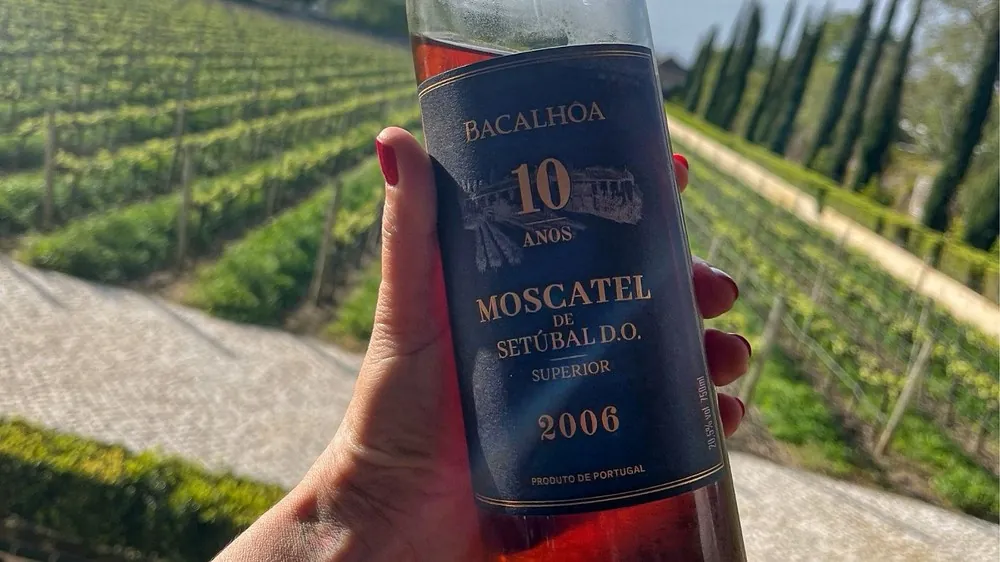 Quinta da Bacalhôa — Foto: Acervo pessoal