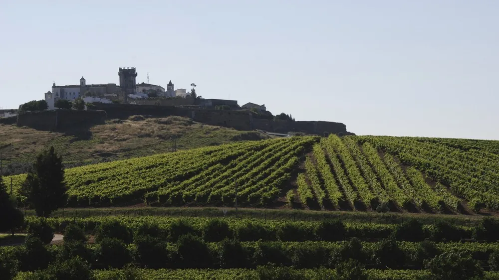 O Alentejo, em Portugal, tem um programa de sustentabilidade na produção dos vinhos — Foto: Divulgação
